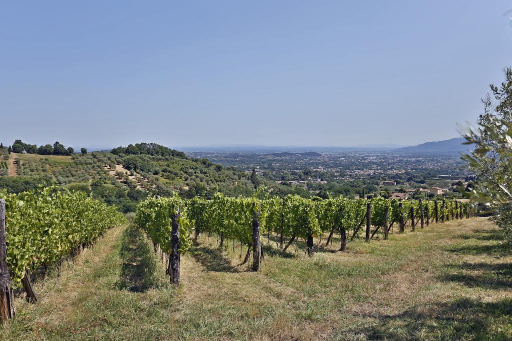 Bertolli Villas Matraia Buitenkant foto